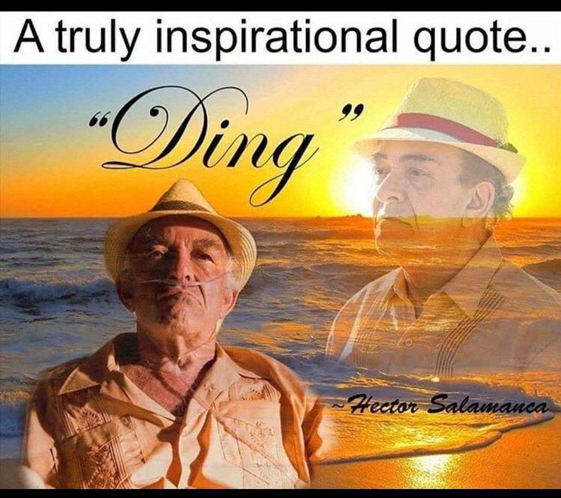A truly inspirational quote 0