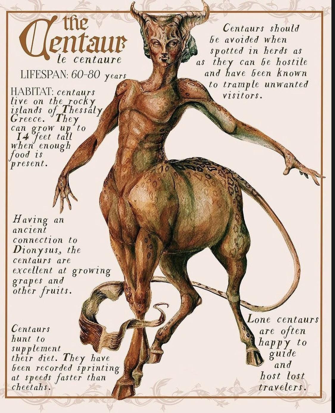 e AN Centaurs should lZIlTllB b avoided when spotted in herds as Ie centaure Sl o lhcy can be hostile LIFESPAN 60 80 years 18 and have Sen knows 1o trample unwante HABITAT centaur J liv on ui ok yititont ilands of Ticsily riee un 771 o 4 e enougt present Having an ancient Connection to Dionysus the centaurs are exeellent ot growing grapes and ather fruits Centaurs 5 are often hunt to W to T A and 