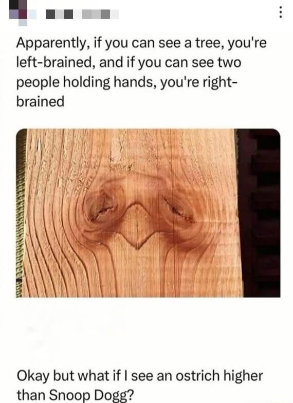 Apparently if you can see a tree youre left brained and if you can see two people holding hands youre right brained Okay but what if see an ostrich higher than Snoop Dogg