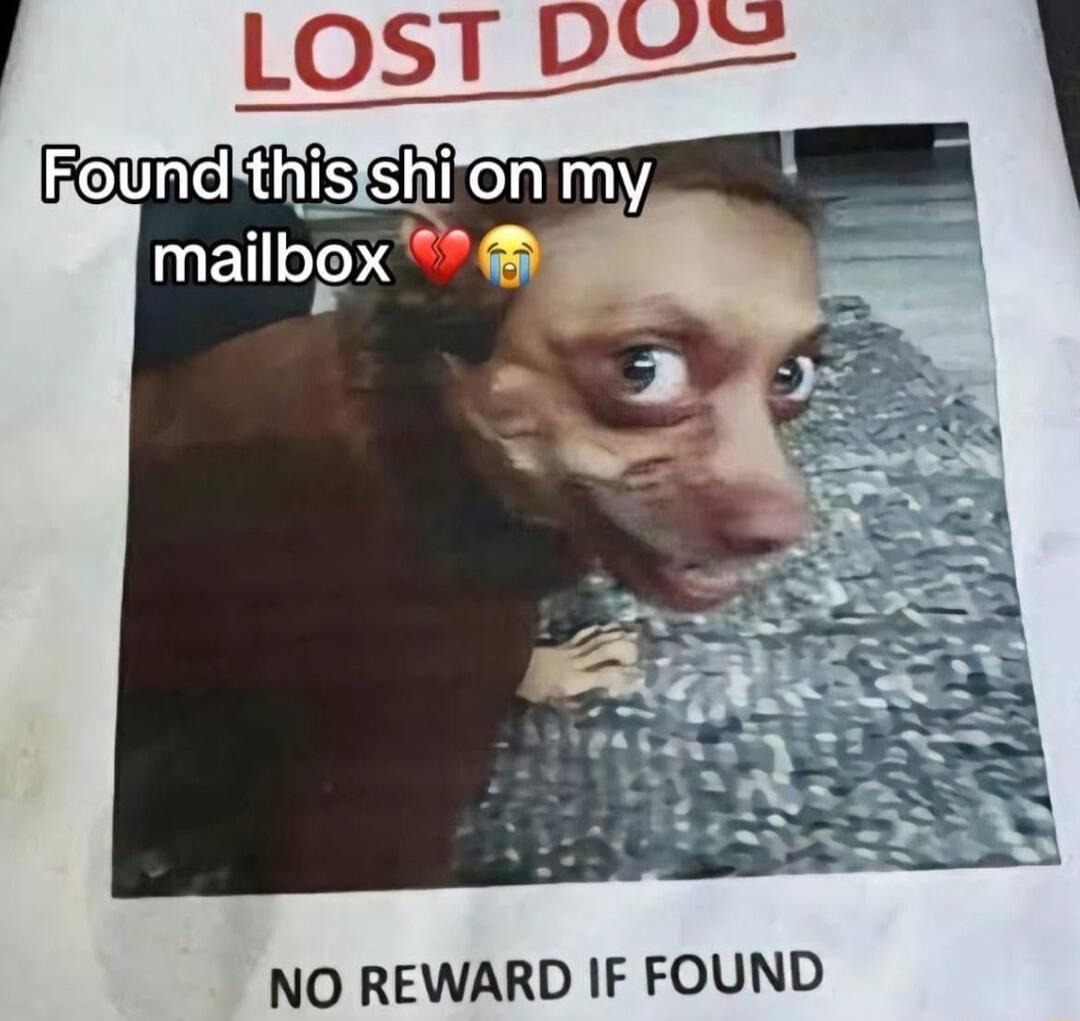 VW NO REWARD IF FOUND