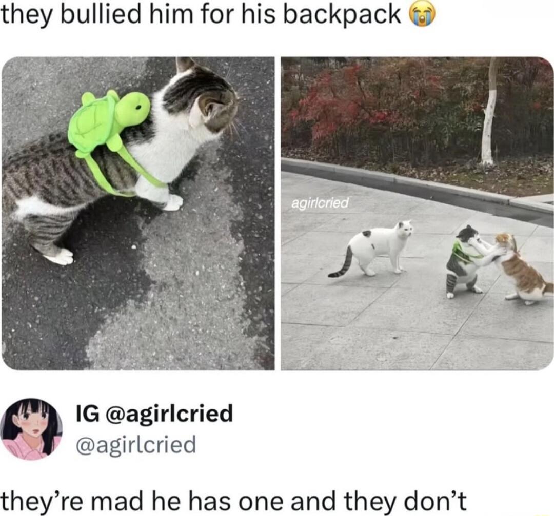 they bullied him for his backpack 1G agirlcried B4 agirlcried theyre mad he has one and they dont