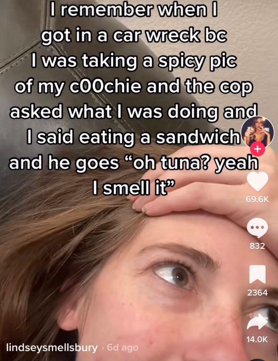 ofmy cO0chie and the asked what was doing lindseysmells