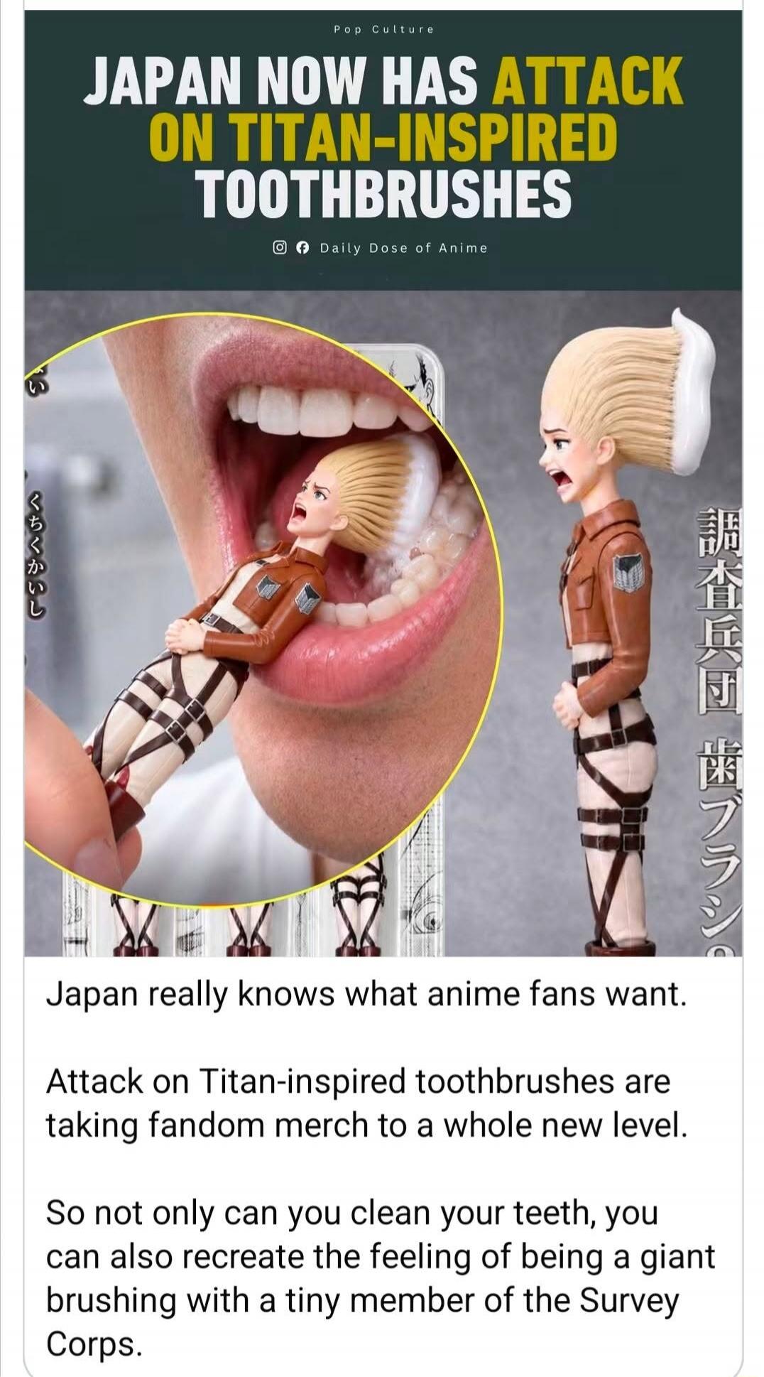 Pop Culture. JAPAN NOW HAS ATTACK ON TITAN-INSPIRED TOOTHBRUSHES. Daily Dose of Anime. Japan really knows what anime fans want. Attack on Titan-inspired toothbrushes are taking fandom merch to a whole new level. So not only can you clean your teeth, you can also recreate the feeling of being a giant brushing with a tiny member of the Survey Corps. 