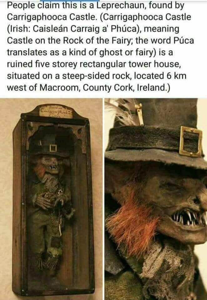 People claim this is a Leprechaun found by Carrigaphooca Castle Carrigaphooca Castle Irish Caisledn Carraig a Phica meaning Castle on the Rock of the Fairy the word Plica translates as a kind of ghost or fairy is a ruined five storey rectangular tower house situated on a steep sided rock located 6 km west of Macroom County Cork Ireland