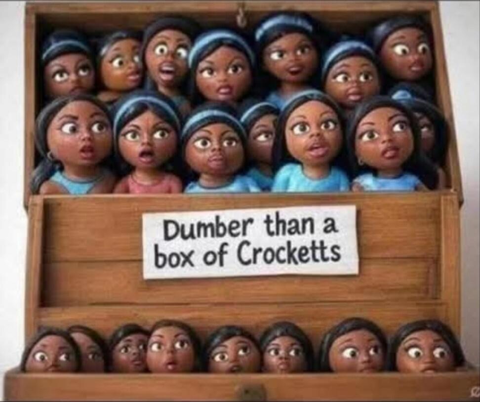 Dumber than a box of Crockett's