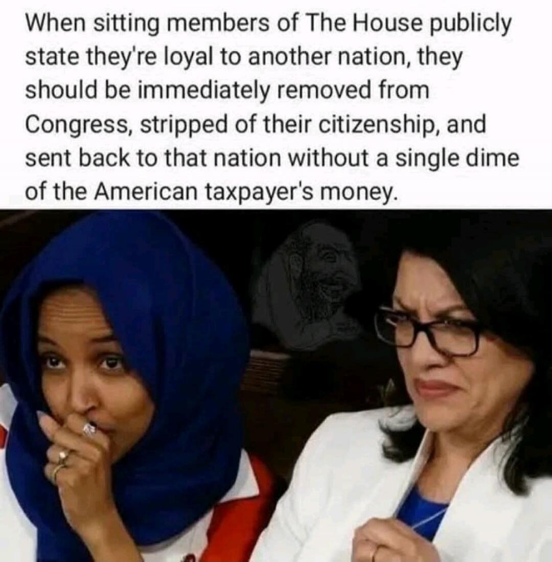 When sitting members of The House publicly state they're loyal to another nation, they should be immediately removed from Congress, stripped of their citizenship, and sent back to that nation without a single dime of the American taxpayer's money.