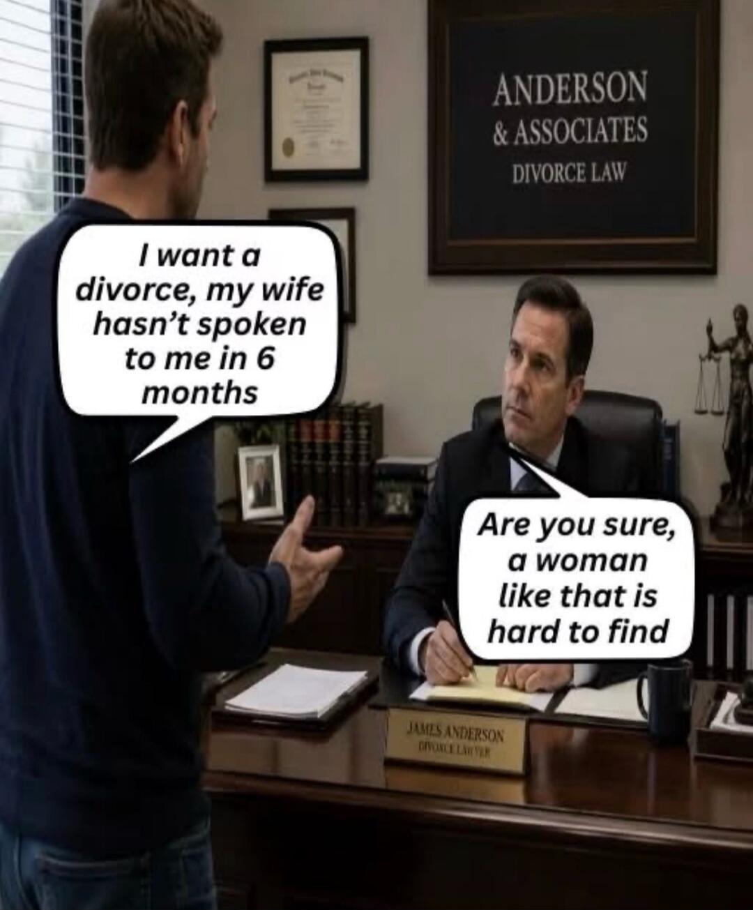 I want a divorce, my wife hasn't spoken to me in 6 months. Are you sure, a woman like that is hard to find. ANDERSON & ASSOCIATES DIVORCE LAW. JAMES ANDERSON DIVORCE LAWYER.