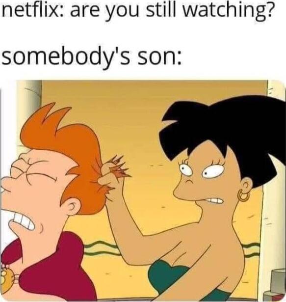 netflix are you still watching somebodys son