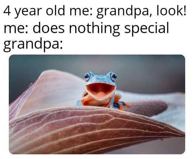 4 year old me grandpa look me does nothing special grandpa