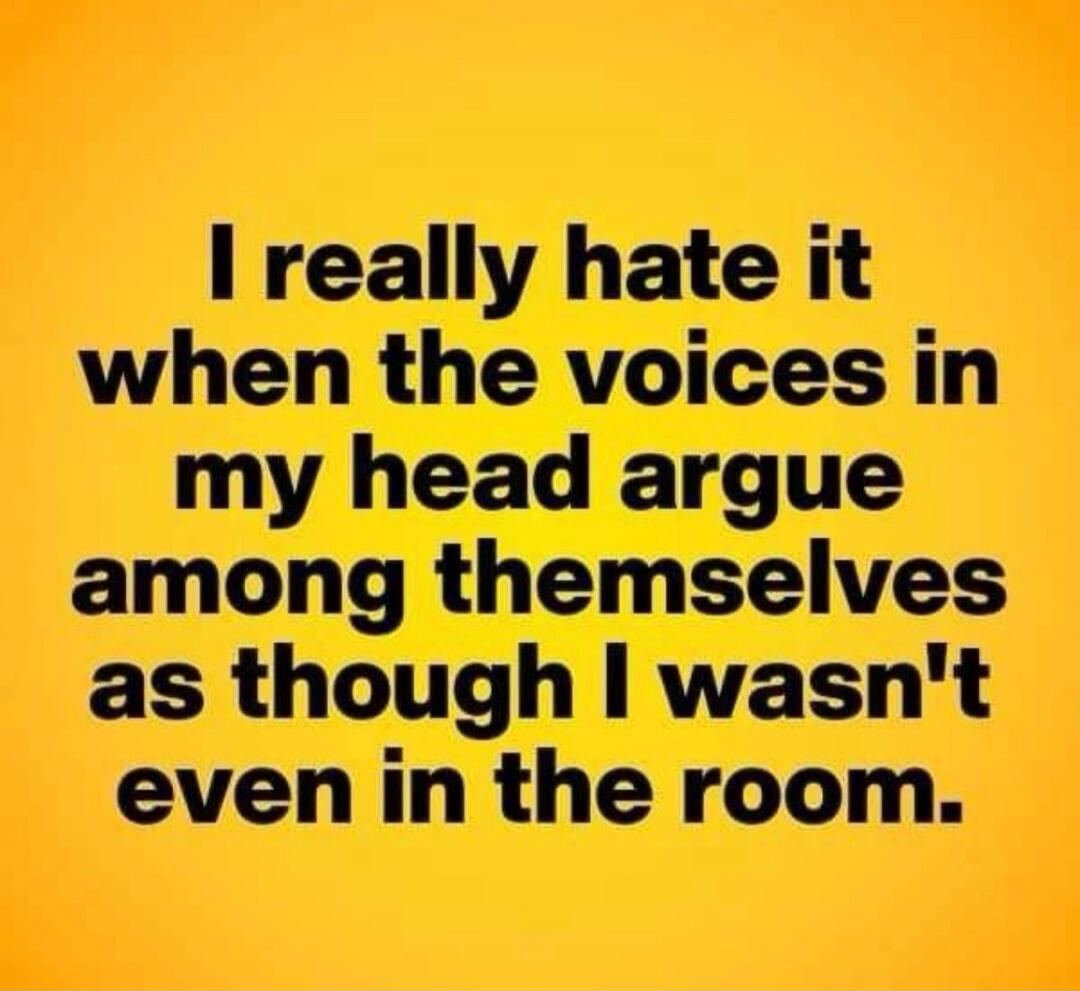 I really hate it when the voices in my head argue among themselves as though I wasn't even in the room.
