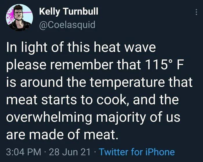 LGV AT W Coelasquid In light of this heat wave please remember that 115 F is around the temperature that meat starts to cook and the overwhelming majority of us are made of meat 304 PM 28 Jun 21 Twitter for iPhone