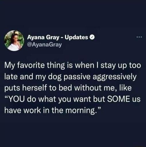 Ayana Gray Updates AyanaGray ORI G R G R ER L NS VAT R Coe late and my dog passive aggressively puts herself to bed without me like YOU do what you want but SOME us have work in the morning