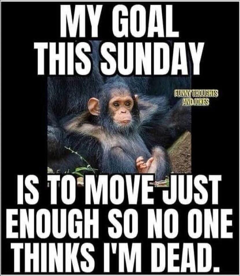 MY GOAL THIS SUNDAY IS TO MOVE JUST ENOUGH SO NO ONE THINKS I'M DEAD.