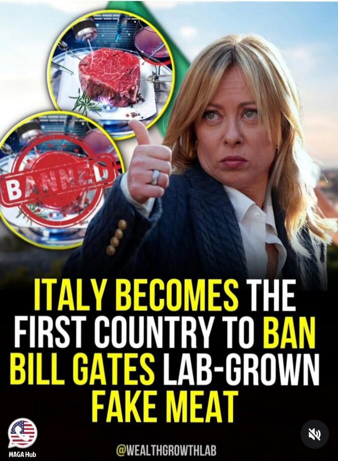 ITALY BECOMES THE FIRST COUNTRY TO BAN BILL GATES LAB-GROWN FAKE MEAT. BANNED. MAGA Hub. @WEALTHGROWTHLAB
