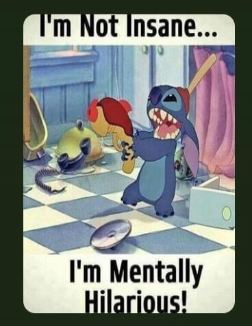I'm Not Insane... I'm Mentally Hilarious!