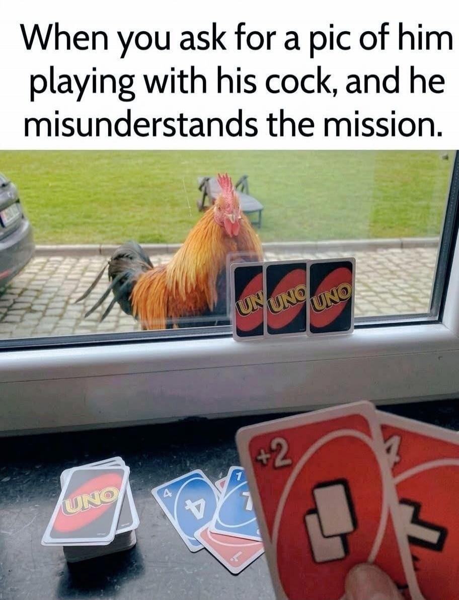 When you ask for a pic of him playing with his cock, and he misunderstands the mission.