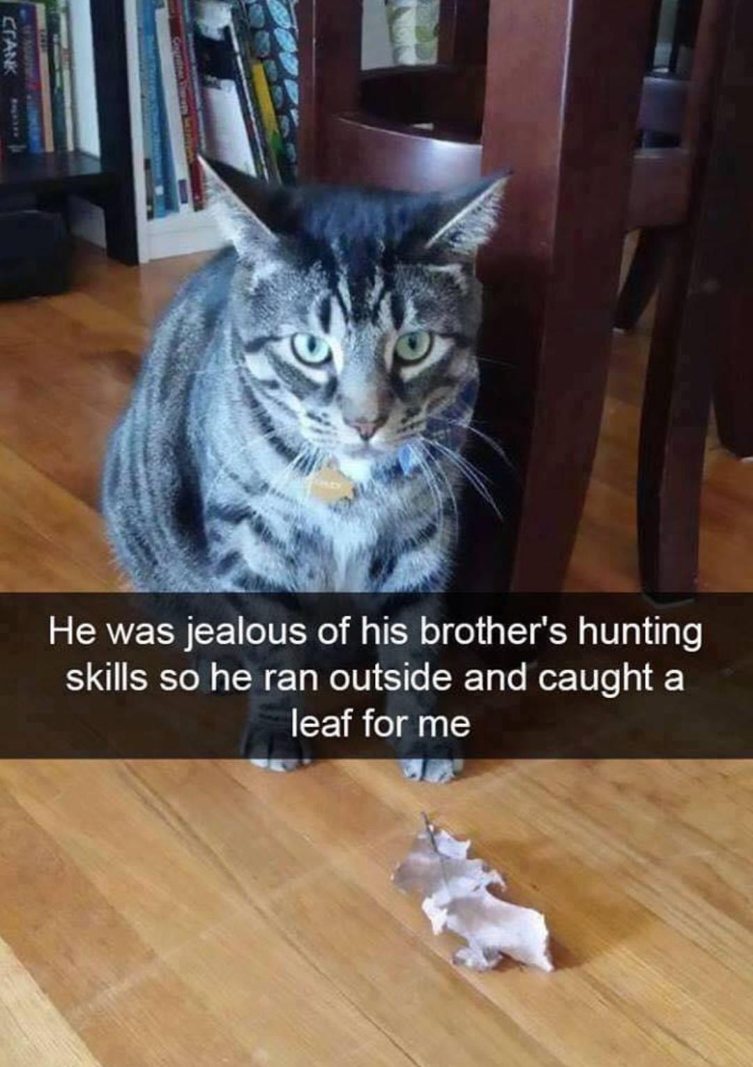 He was jealous of his brothers hunting S SR N s N TaWel VI S1To SRTalo M Ulo o leaf for me