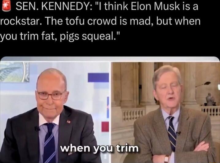 SEN KENNEDY l think Elon Musk is a CIE TR I R TR T R e M T AW T you trim fat pigs squeal