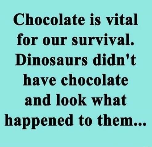 Chocolate is vital for our survival. Dinosaurs didn't have chocolate and look what happened to them...