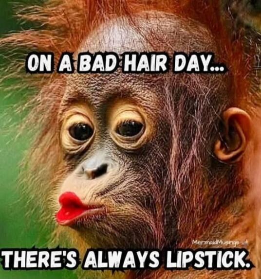 ON A BAD HAIR DAY... THERE'S ALWAYS LIPSTICK.