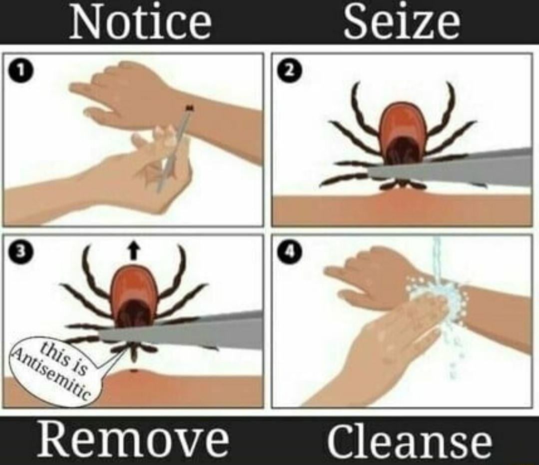 Remove Cleanse