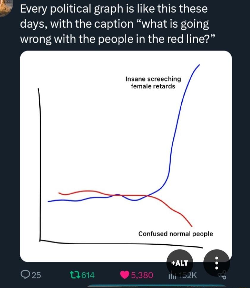 Every political graph is like this these days with the caption what is going wrong with the people in the red line Insane screeching female retards e Confused normal people