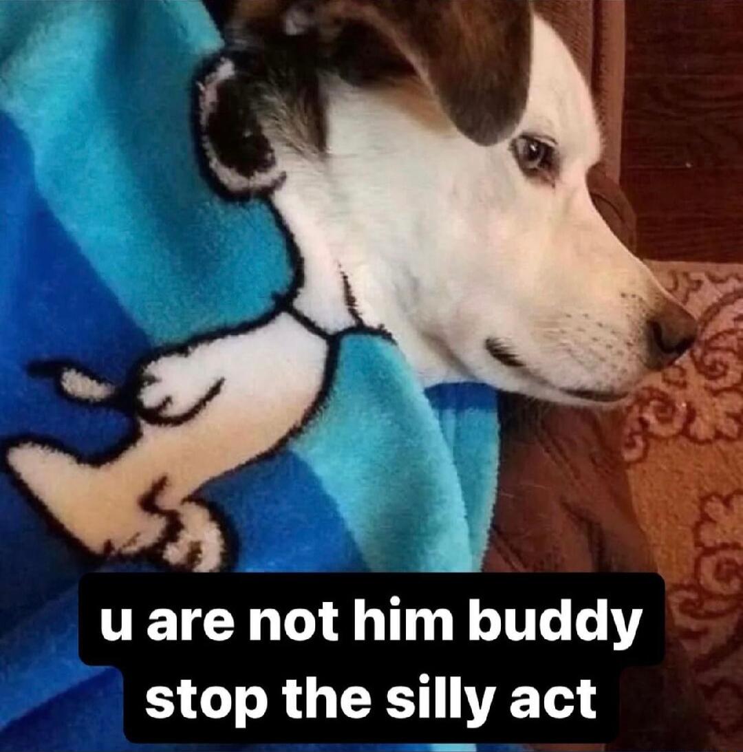 4 uare nothimbuddy stop the silly act