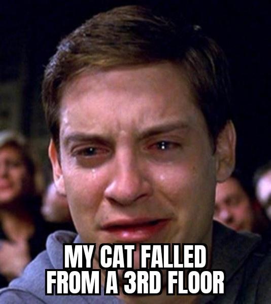 MYCATFALLED FROMIA 3RD FLOOR
