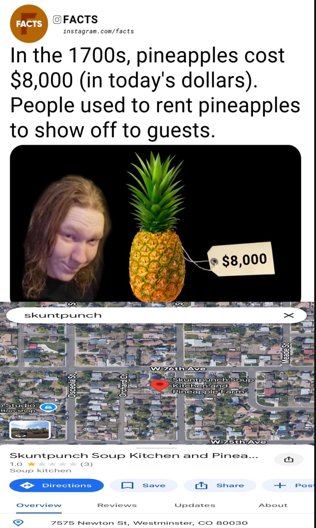 oFacts L instagran In the 1700s pineapples cost 8000 in todays dollars People used to rent pineapples to show off to guests