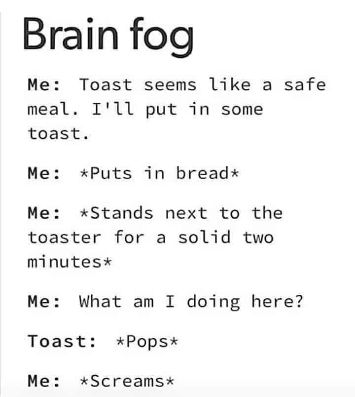 Brain fog Me Toast seems like a safe meal Ill put in some toast Me Puts 1in breadx Me Stands next to the toaster for a solid two minutesx Me What am I doing here Toast Pops Me Screamsx