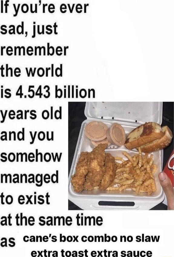 If youre ever sad just remember the world is 4543 billion at the same time as canes box combo no slaw extra toast extra sauce