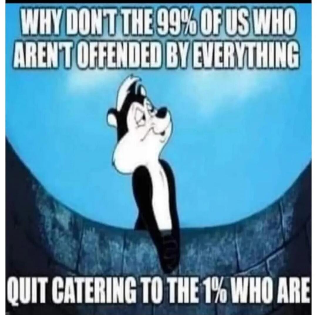 WHY DONT THE 99% OF US WHO ARENT OFFENDED BY EVERYTHING QUIT CATERING TO THE 1% WHO ARE