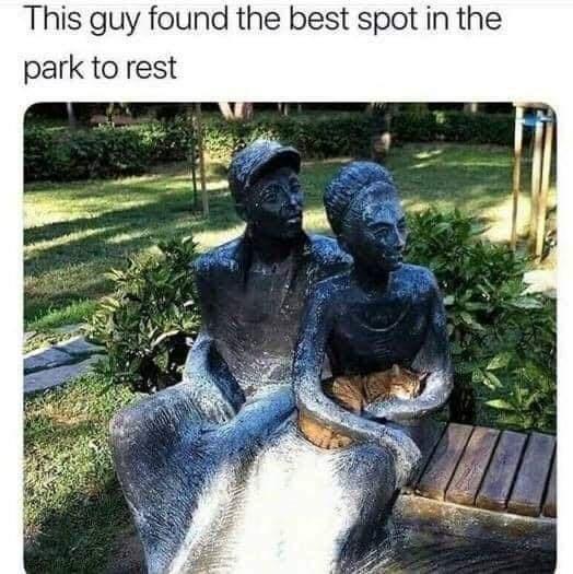 This guy found the best spot in the park to rest