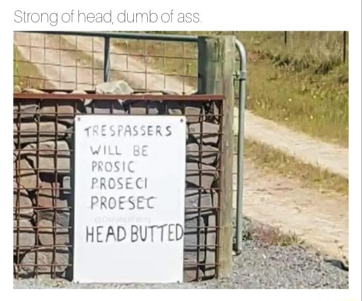 PROSIC PROSECI PROESEC