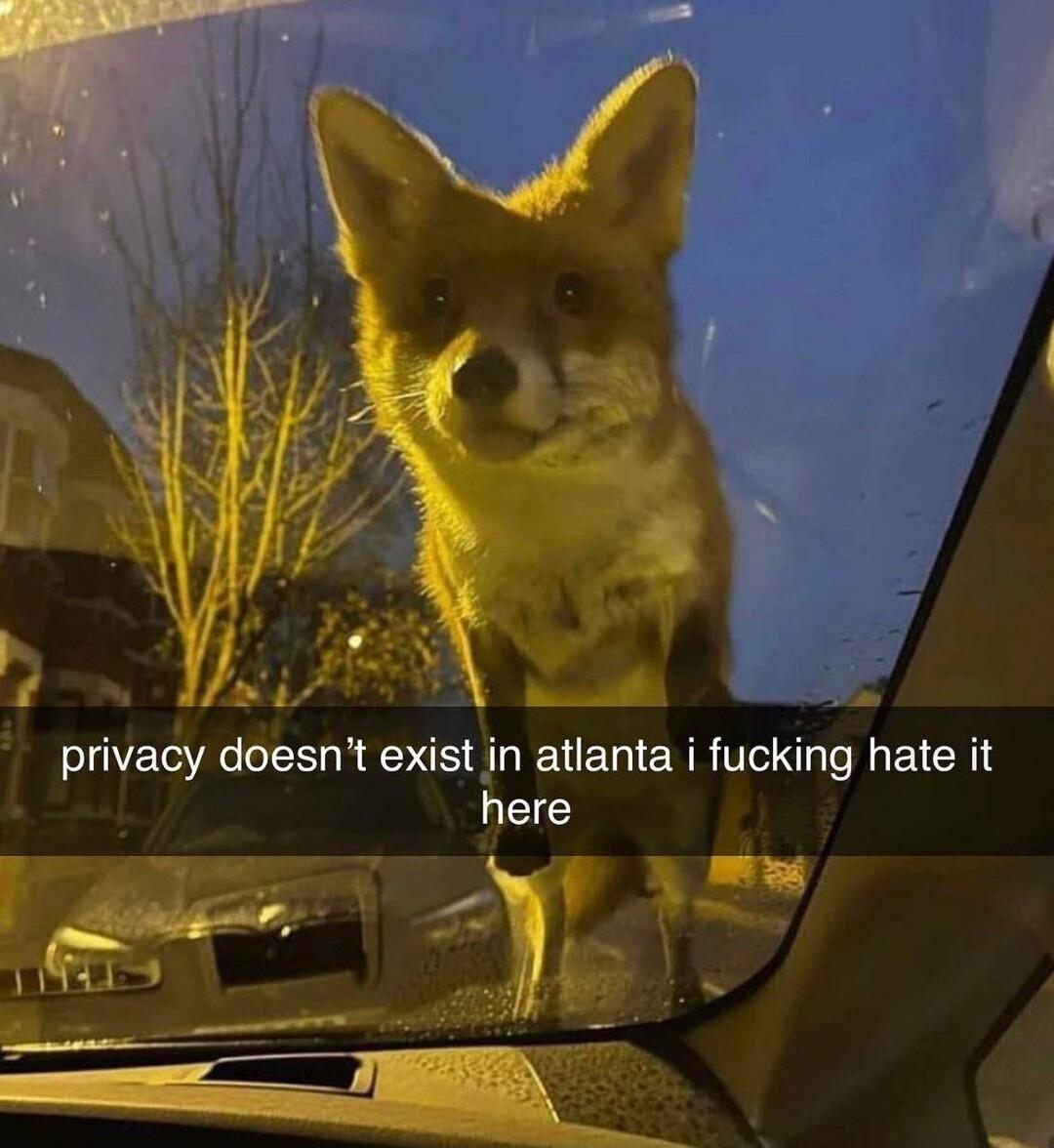 privacy doesnt exist in atlanta i fucking hate it here oo La