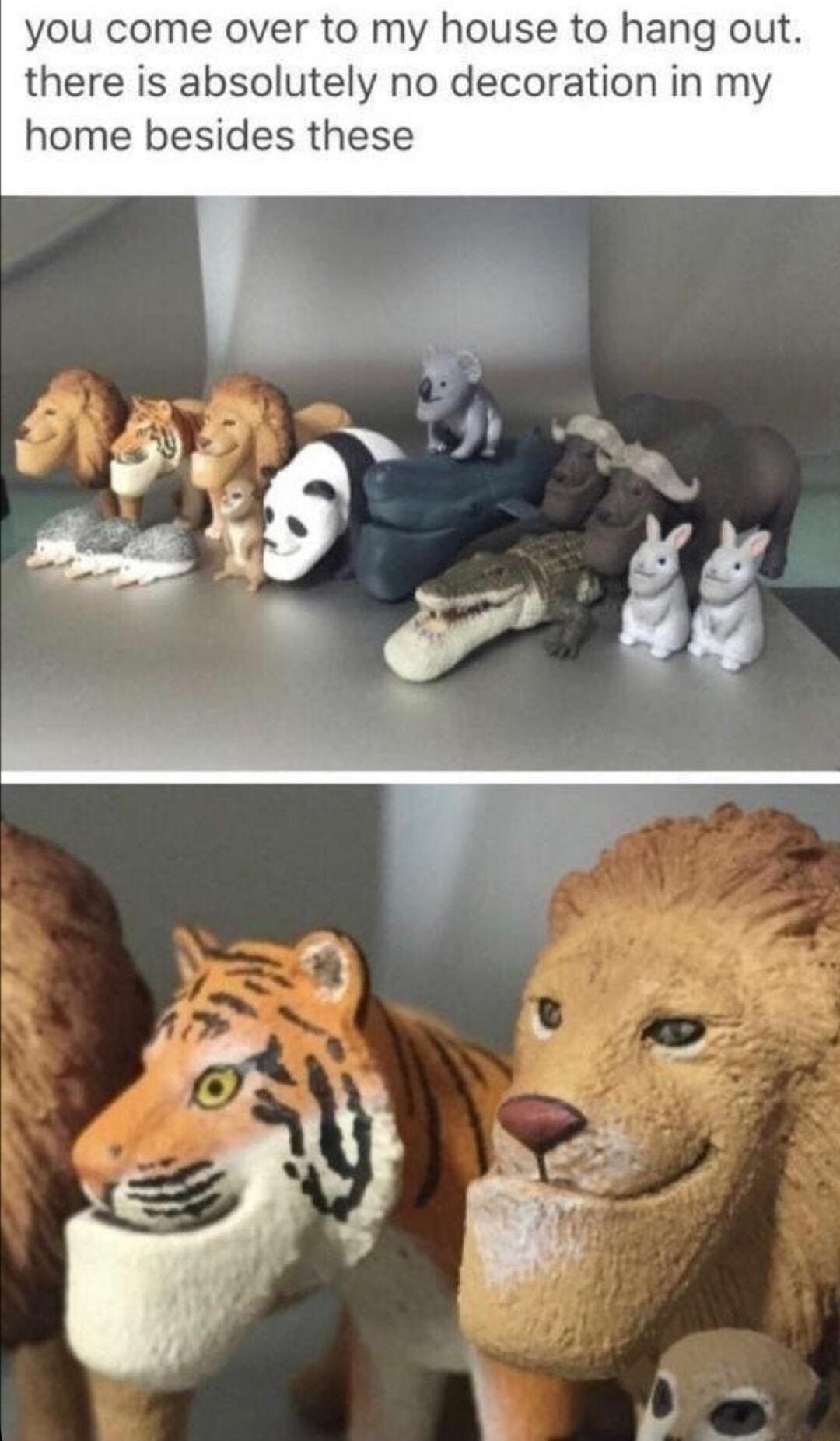 you come over to my house to hang out there is absolutely no decoration in my home besides these