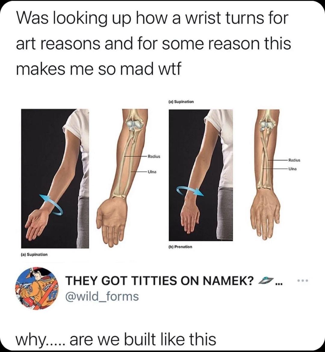 3 Was looking up how a wrist turns for A art reasons and for some reason this makes me so mad witf o Supination b Pronation Supination 3 THEY GOT TITTIES ON NAMEK wild_forms L why are we built like this