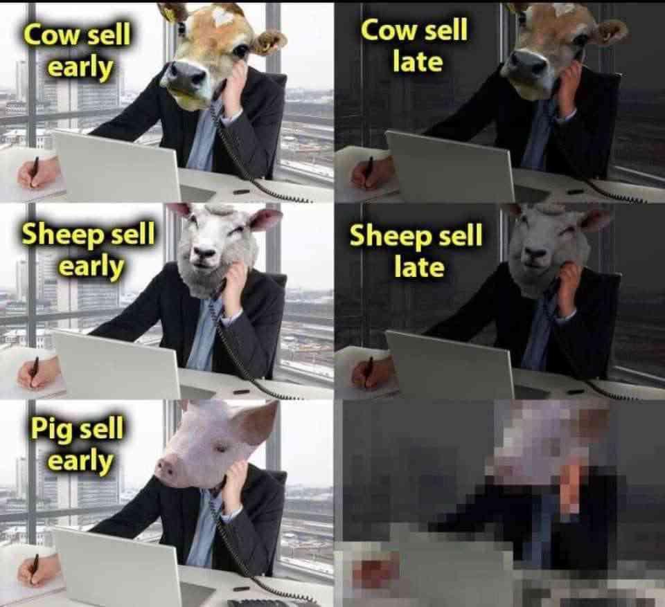 Cow sell late Sheep sell 10