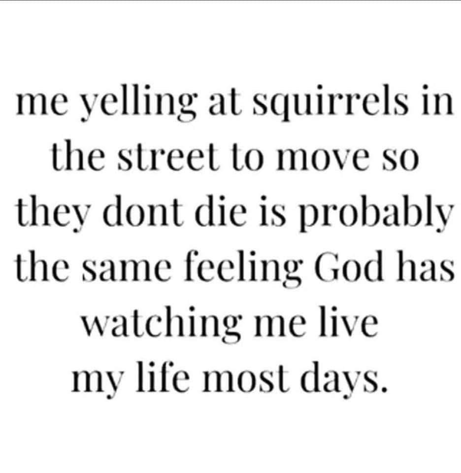 me yelling at squirrels in the streel Lo move so they dont die is probably the same feeling God has watching me live my life most days