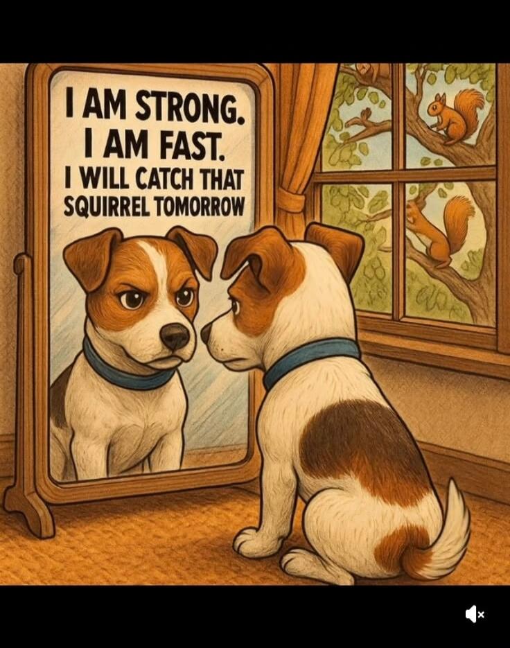 I AM STRONG. I AM FAST. I WILL CATCH THAT SQUIRREL TOMORROW