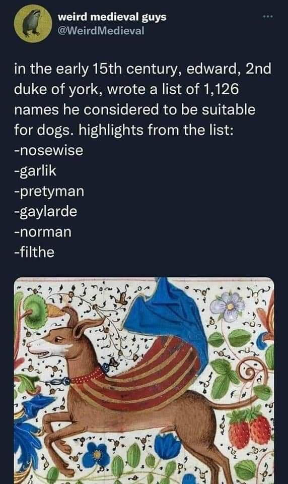 weird medieval guys A ETE VL TEVE in the early 15th century edward 2nd o 1 CWe o T SRV o YW 15 4o il Wy P21 names he considered to be suitable for dogs highlights from the list nosewise garlik pretyman gaylarde norman filthe