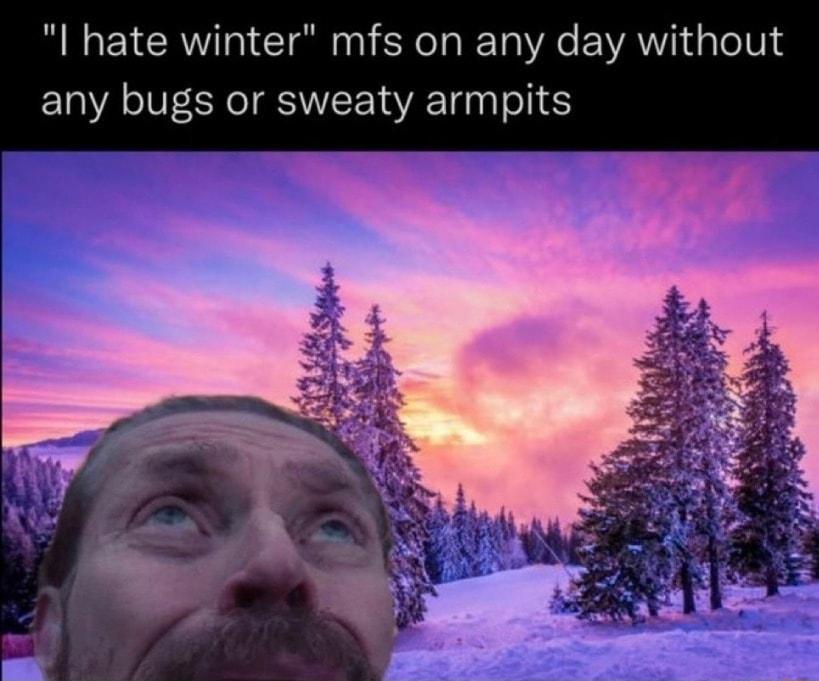 I hate winter mfs on any day without any bugs or sweaty armpits