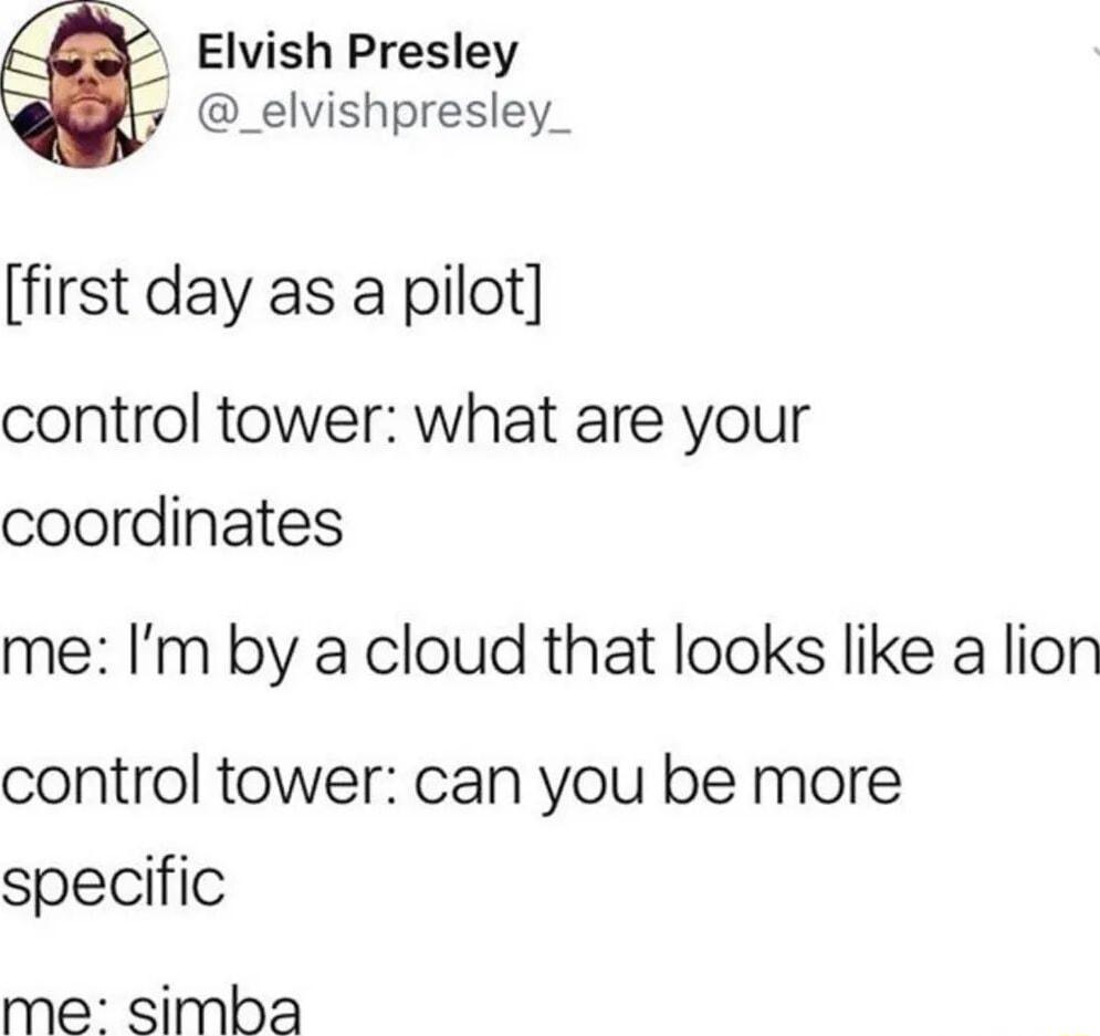 Elvish Presley _elvishpresley_ first day as a pilot control tower what are your coordinates me Im by a cloud that looks like a lion control tower can you be more specific me simba