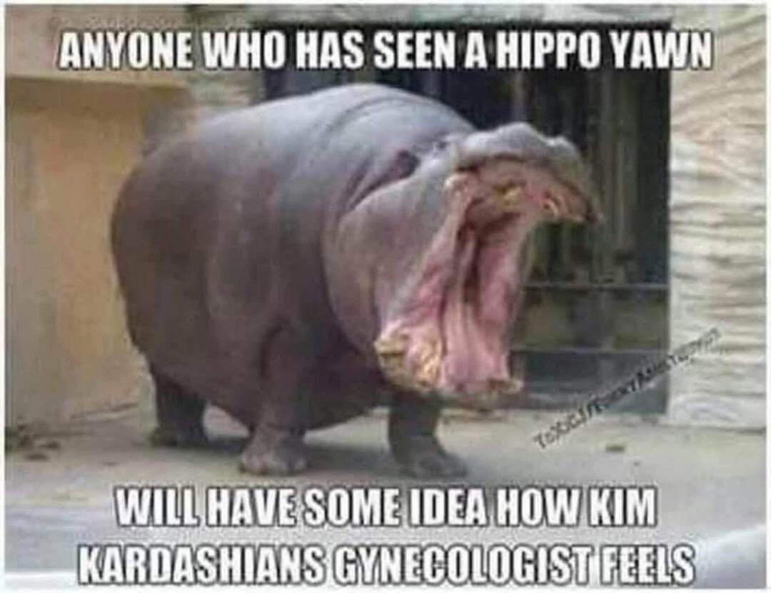 ANYONE WHO HAS SEEN A HIPPO YAWN WILL HAVE SOME IDEA HOW KIM KARDASHIANS GYNECOLOGIST FEELS