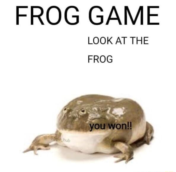 FROG GAME LOOK AT THE FROG