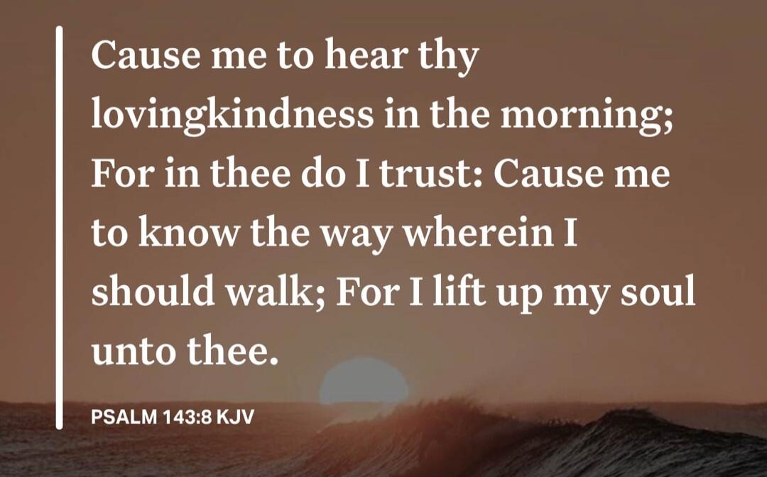 Cause me to hear thy lovingkindness in the morning; For in thee do I trust: Cause me to know the way wherein I should walk; For I lift up my soul unto thee. PSALM 143:8 KJV
