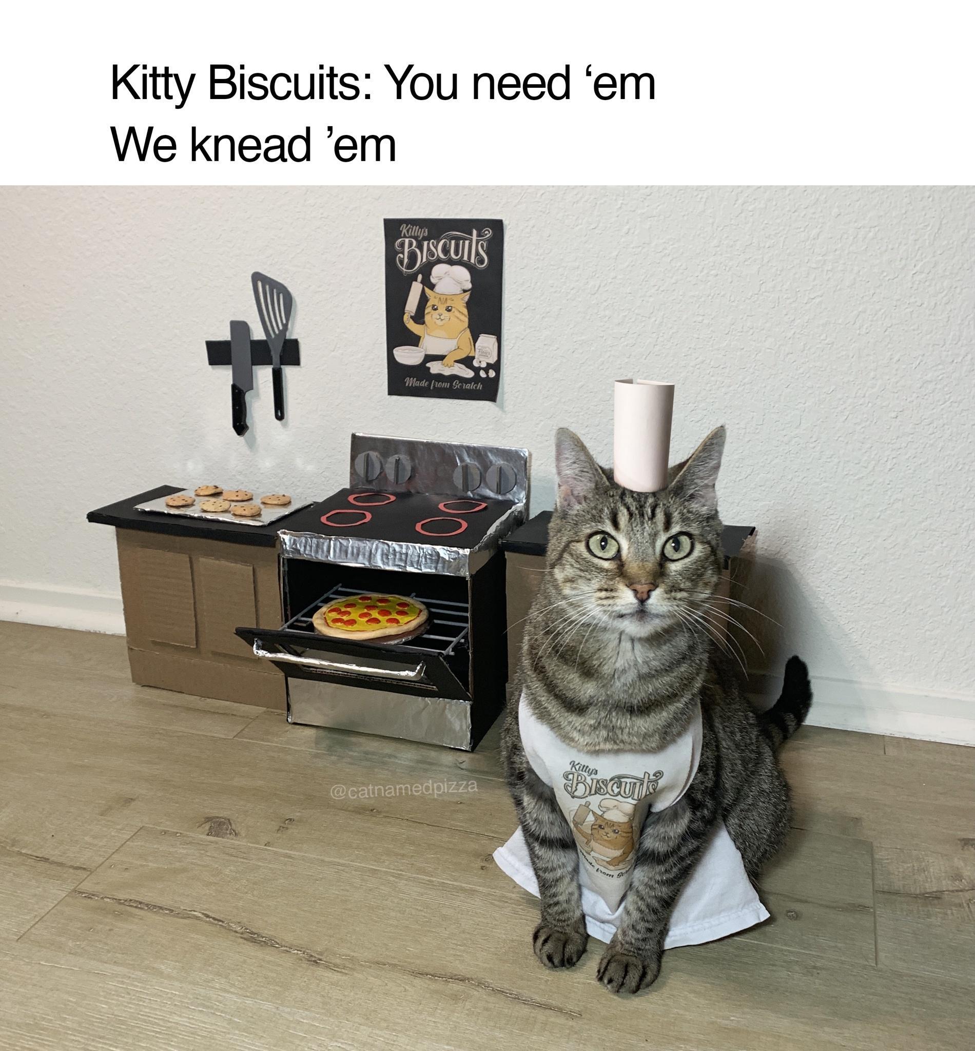 Kitty Biscuits You need em We knead em PISCUIlS Ve
