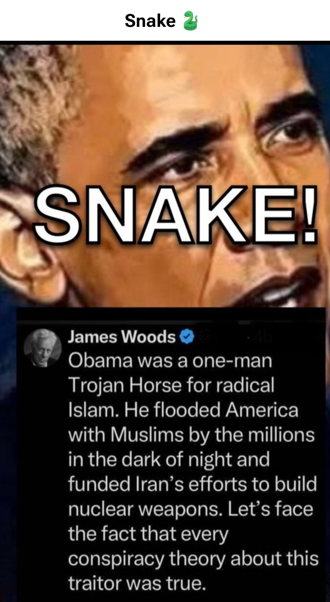 Snake 🐍 SNAKE! James Woods Obama was a one-man Trojan Horse for radical Islam. He flooded America with Muslims by the millions in the dark of night and funded Iran's efforts to build nuclear weapons. Let's face the fact that every conspiracy theory about this traitor was true.