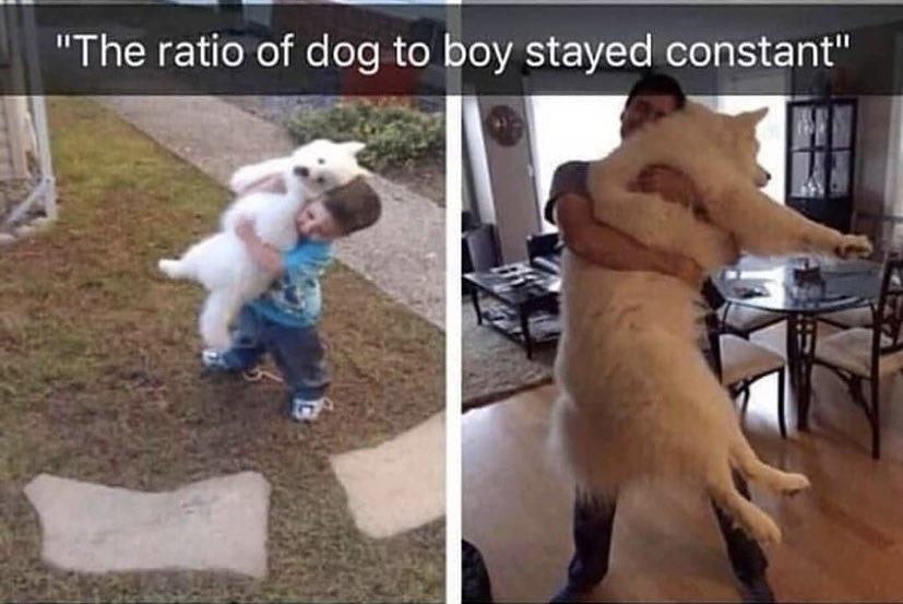 The ratio of dog L ol o o VA 1VTo constant