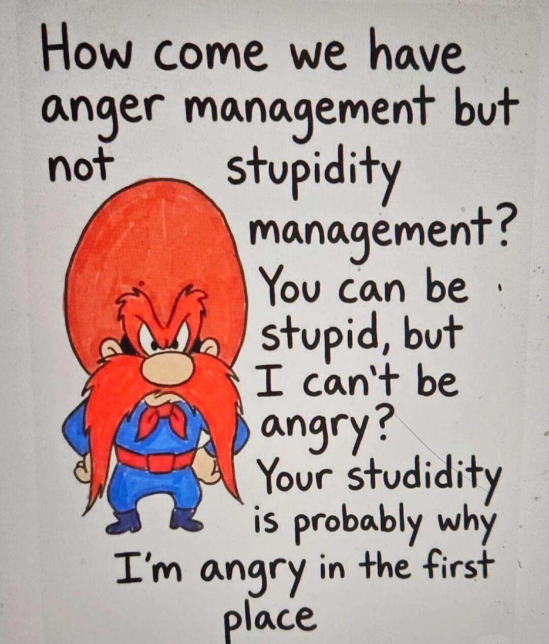 How come we have anger management but not stupidity management? You can be stupid, but I can't be angry? Your studidity is probably why I'm angry in the first place